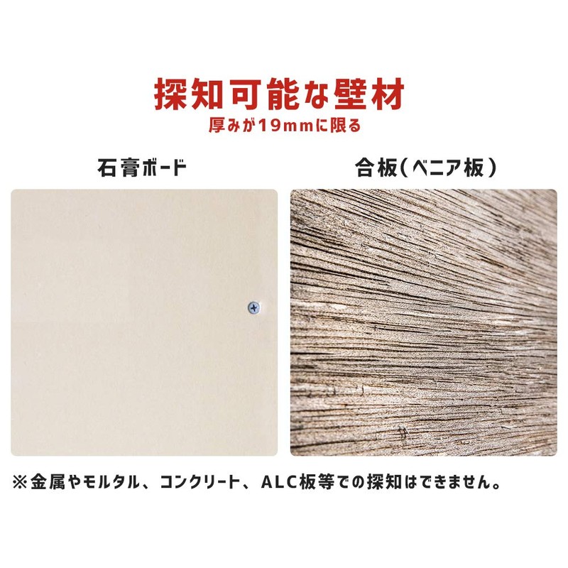 Bigman BWS1 Compact Underground Sensor Wire Detection with Power Detection