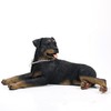 Conversation Concepts Rottweiler Figurine MyDog