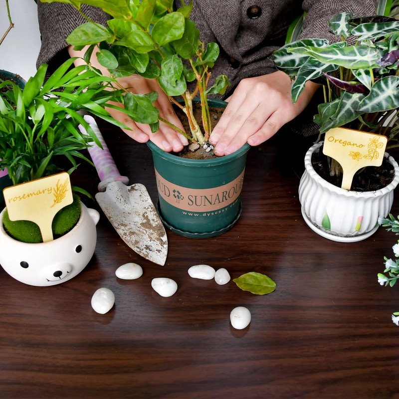 15Pcs Plant Label Plant Herb Tag