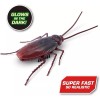 Zuru Robo Alive Crawling Cockroach Series 2 Robotic Glow In