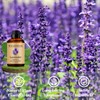 Wuvezrub Lavender Essential Oils 120ML, Pure Lavender Essential Oil for