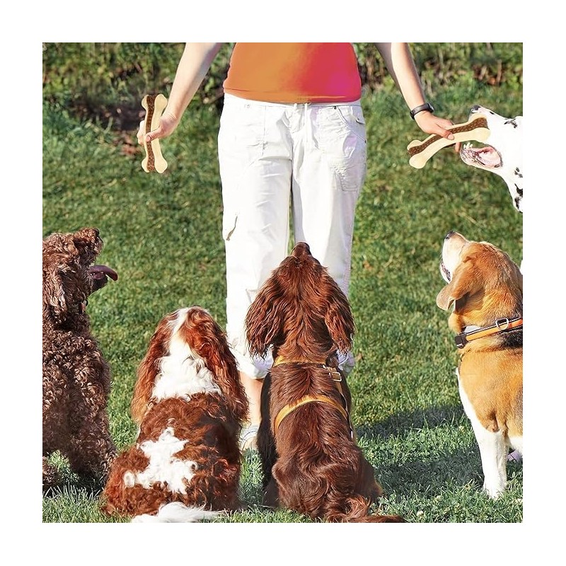 JIGCEN Dog Bone Chew Toys, Durable Nylon with Cowhide Centre,