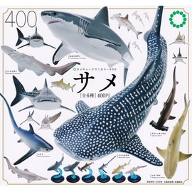 Nature Technicolor 400 Shark (Complete Set of 6 Types), Gacha Gacha Capsule Toy