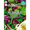 Picking Salad Fitness Mix / Babyleaf Mix