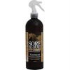 Arenus Arenus Sore No More Performance Ultra Liniment 16 oz
