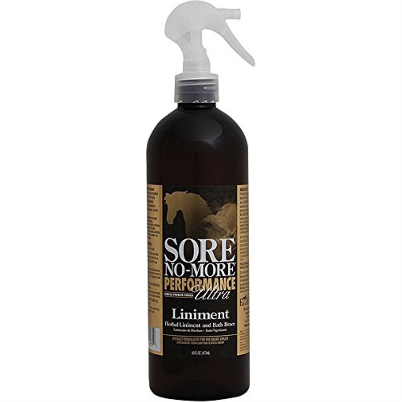Arenus Arenus Sore No More Performance Ultra Liniment 16 oz