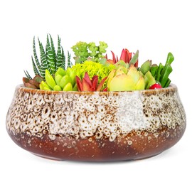 ARTKETTY Succulent Pots - 8 Inch Plant Pot, Large Bonsai Pots with Drainage, Ceramic Planters for Indoor Outdoor Plants, Round Shallow Cactus Flower Plant Container Bowl Decorative Home Garden