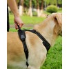 Joytale No Pull Dog Harness Medium Sized Dog, Reflective Pet