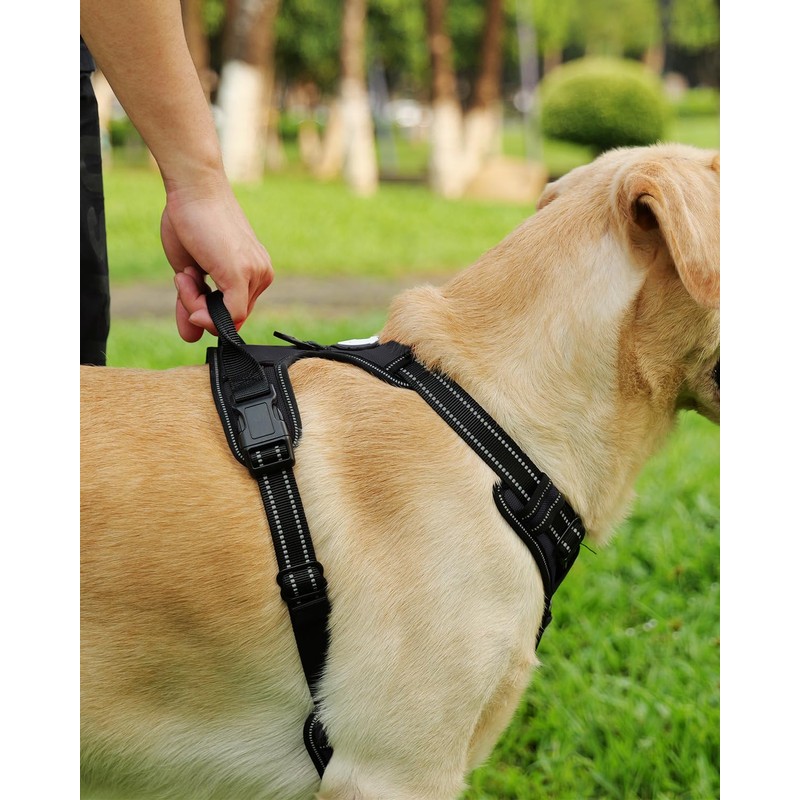 Joytale No Pull Dog Harness Medium Sized Dog, Reflective Pet