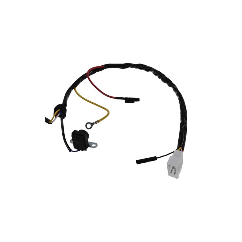 2EXTREME Alternator Compatible with Honda Bali SJ 50, Dio 50,