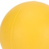 Dog Bouncing Ball Solid High Elasticity Toxic Free Floating Rubber