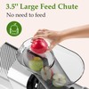 Anybear Masticating Juicer Machines, 3.5" Large Feed Chute Cold Press