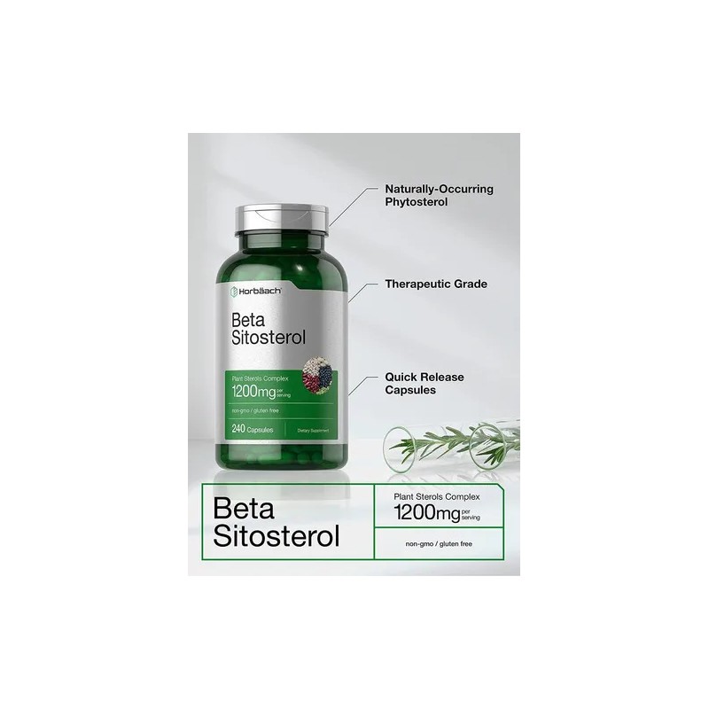 Beta Sitosterol Sitosteroles Prostata 240 Caps Eg Pp29 Sabor Nd