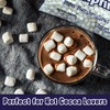 [Mini] Case Pack 12 Pounds Bulk Campfire Mini Marshmallows -