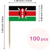 Kenya Toothpick Flag Republic of Kenya Small Mini Cocktail Fruit
