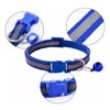 PetyPup Shampoo de Avena y Miel + Collar de Mascota