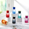 Teenyyou 6 Pcs 30 ml Vintage Refillable Perfume Bottle Travel
