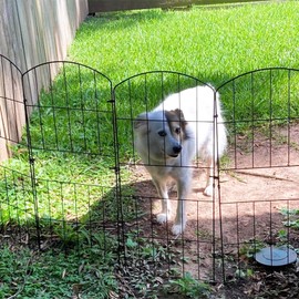 HUXNTN Barrier Fence 10 Pack Total 36in (H) x 10ft6in (L) Decorative Garden Defense Fence Border Metal Fencing Dog Rabbits Pet Blocker Under Fence for Garden Flower Bed Patio