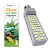 The Bio Dude 6" Glow & Grow Best Plant Growth