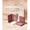 Brilliage Cheek Blush (Glow/Cassis Fig) [Chiaki Shimada Produce Brand]