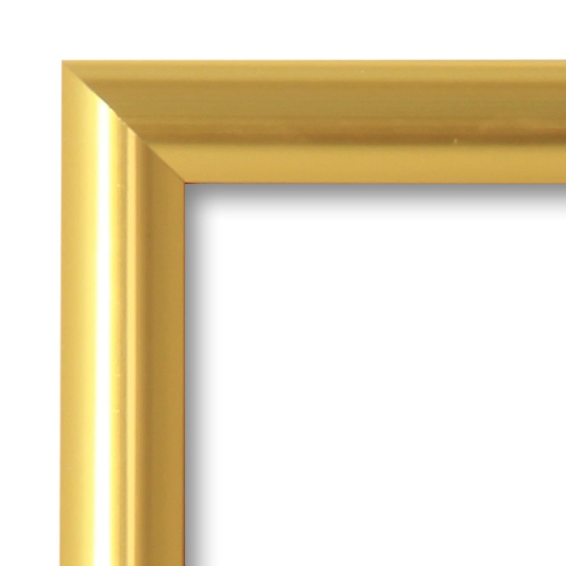 SnapeZo Gold Effect 36x48 Poster Frame, Front-Loading, Wall Mount, Aluminum