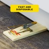 PIC Wood Mouse Traps, 4 Count