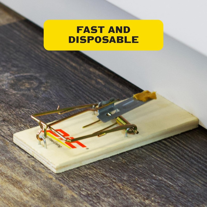 PIC Wood Mouse Traps, 4 Count