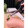Sumikama Kasumi 81001 Kitchen Scissors, Cooking, 3.7 x 9.4 x