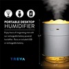 Treva Portable USB Rechargeable Night Light & Mini Cool Mist