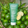 Jeju On Cutera Green Tangerine Aloe Vera Soothing Gel 200ml