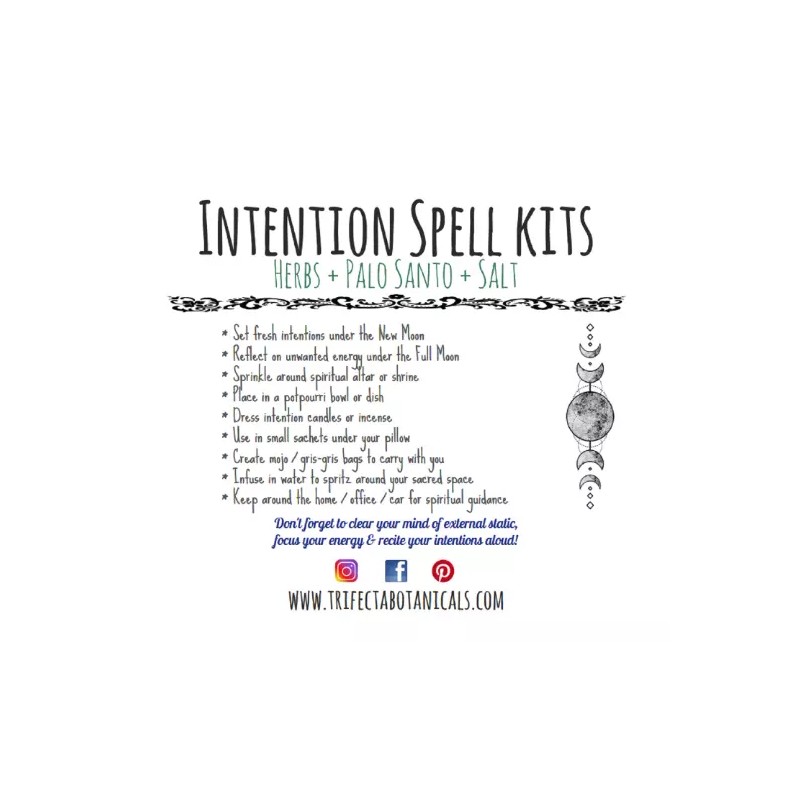 Trifecta Botanicals PROTECTION Intention Spell Kit ~ Herbs / Salt