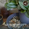The HC Companies SLI10000A34T032LREFU Classic Round Plastic Plant Saucer, 10"