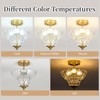 Rainzepher Vintage Gold Semi Flush Mount Light with Floral Class
