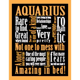 Handmade Aquarius Rare To Find Romantic Most Caring People Ever Zodiac Sign-MAGNET