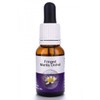 Living Essences Fringed Mantis Orchid 15ml