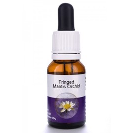 Living Essences Fringed Mantis Orchid 15ml
