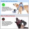 ChalkLit Light Up Dog Harness, No Pull Led Dog Harness