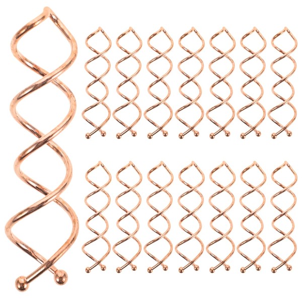 FOMIYES 20piezas Pasadores De Cabello Espiral Para Mujeres Clips Mini