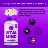 Vital Mind Dietary Supplement, VitalMind Brain Max Focus Formula (180