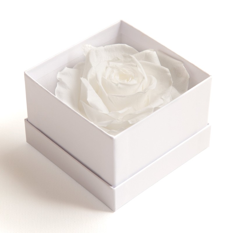 Infinity Rose Preserved Rose Box I Love You Gift for