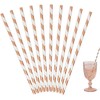 Decoraparty 10 Cannucce in Carta Oro Rosa e Bianche h