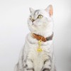 XPangle Extra Loud Dog Collar Bell, 4 Sets Cat Collar