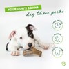 Benebone Wishbone Durable Dog Chew Toy for Aggressive Chewers, Real