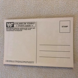 Titan Sports & Evart Enterprise 1993 WF Superstar Bret "Hit Man" Hart Post Card, NEW