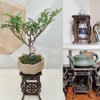 LCJAOF Wooden Plant Stand Plant Holder Flower Pot Display Stand