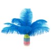 MWOOT Pack of 10 Natural Ostrich Feathers, Ostrich Feather Plume