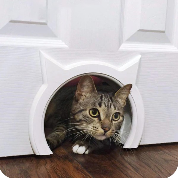 The Kitty Pass Interior cat Door - let Your cat