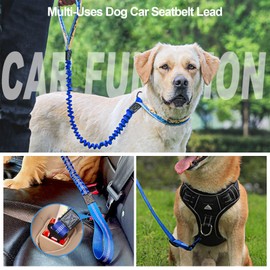 Proxima Direct Dog Car Seat Belt, Retractable Dog Car Harness Lead with Elastic Bungee Buffer, Reflective Nylon Adjustable Pet Dog Collar Leash with Safe Clip Buckle for All Cars Travel Camping Blue