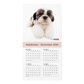 THE DOG Calendar 2026 Wall-Mounted Mini Size [Shih Tzu]
