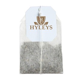 12 Pack - Hyleys Natural Echinacea & Ginger Root Green Tea - 25 Tea Bags - (100% Natural, Sugar Free, Gluten Free and Non-GMO)